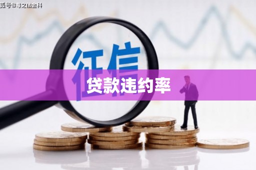 宁陕贷款违约率