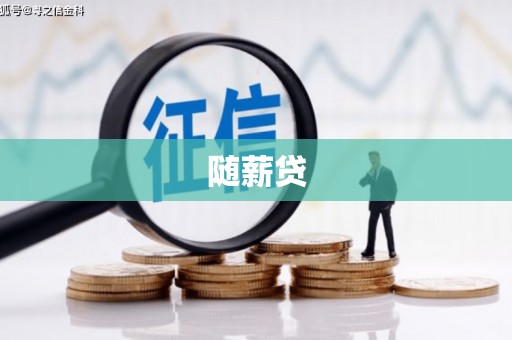 宁陕随薪贷