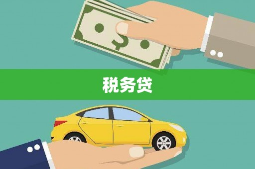 宁陕税务贷