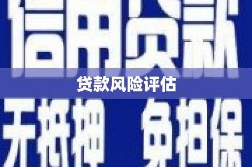 宁陕贷款风险评估