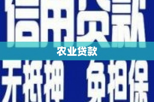 宁陕农业贷款