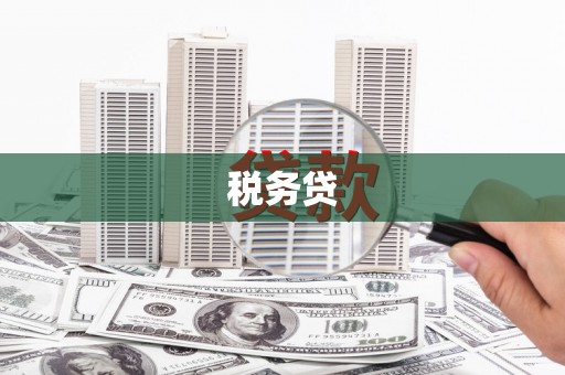 宁陕税务贷