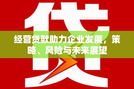 宁陕经营贷款助力企业发展，策略、风险与未来展望