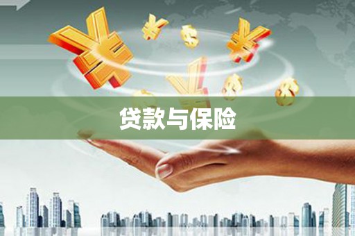 宁陕贷款与保险
