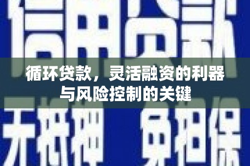 宁陕循环贷款，灵活融资的利器与风险控制的关键