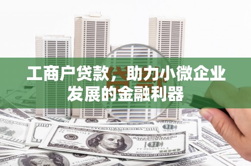 宁陕工商户贷款，助力小微企业发展的金融利器