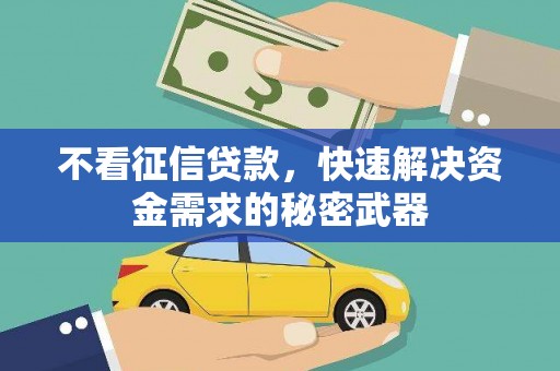 宁陕不看征信贷款，快速解决资金需求的秘密武器