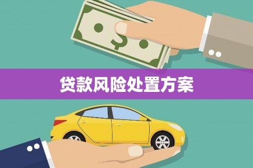 宁陕贷款风险处置方案