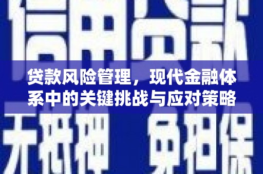 宁陕贷款风险管理，现代金融体系中的关键挑战与应对策略