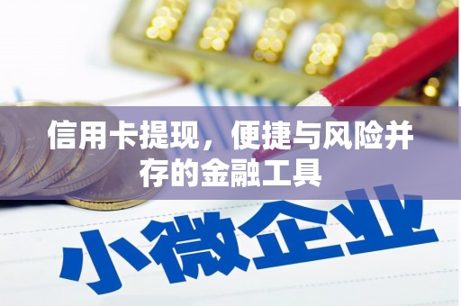 宁陕信用卡提现，便捷与风险并存的金融工具