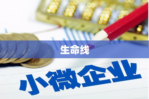 宁陕生命线