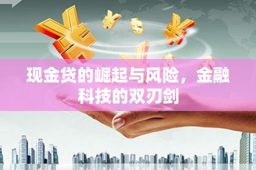 宁陕现金贷的崛起与风险，金融科技的双刃剑