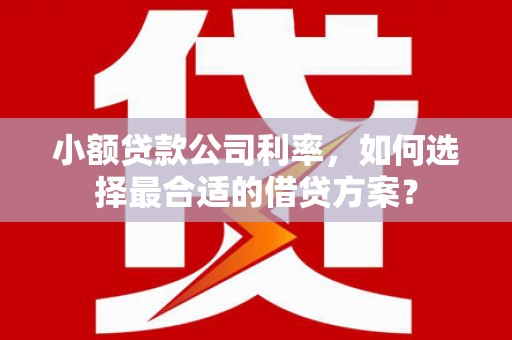宁陕小额贷款公司利率，如何选择最合适的借贷方案？