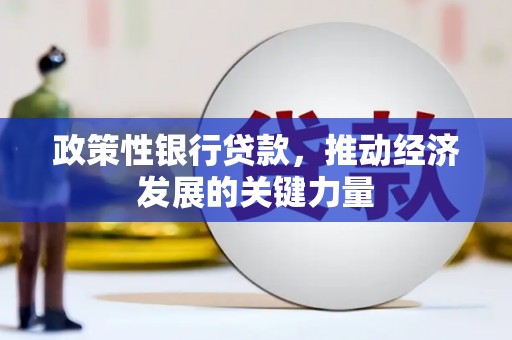 宁陕政策性银行贷款，推动经济发展的关键力量