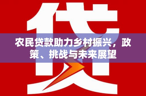 宁陕农民贷款助力乡村振兴，政策、挑战与未来展望