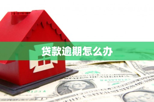 宁陕贷款逾期怎么办