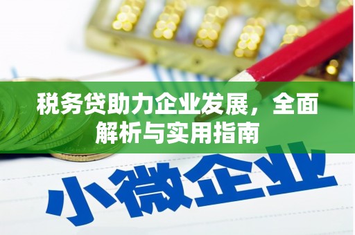 宁陕税务贷助力企业发展，全面解析与实用指南