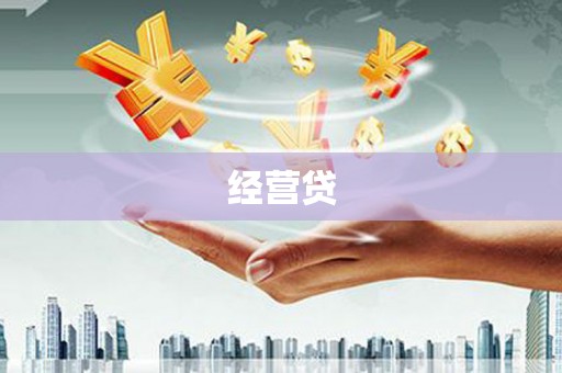 宁陕经营贷