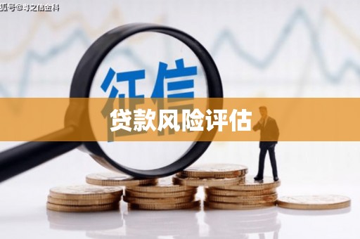 宁陕贷款风险评估