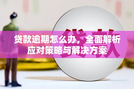 宁陕贷款逾期怎么办，全面解析应对策略与解决方案