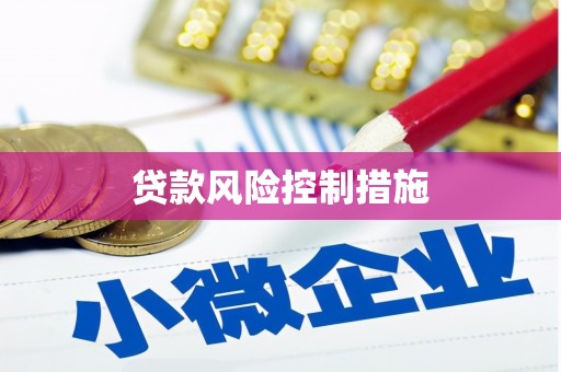 宁陕贷款风险控制措施