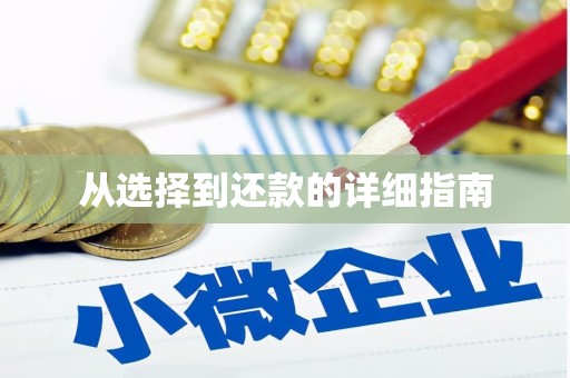 宁陕从选择到还款的详细指南