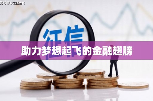 宁陕助力梦想起飞的金融翅膀