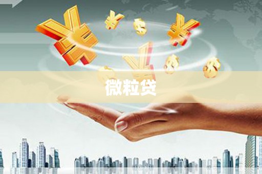 宁陕微粒贷