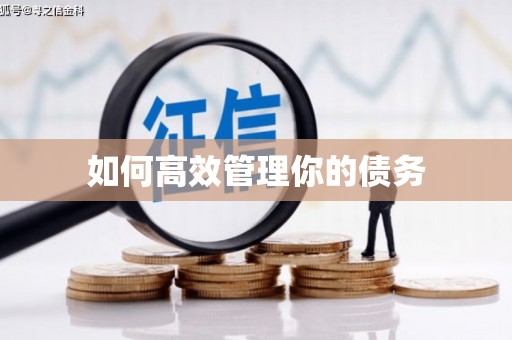 宁陕如何高效管理你的债务